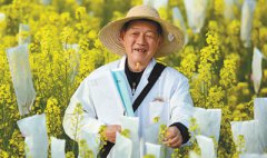 澳门永利网址_澳门永利网站_澳门永利官网_波里马雄性不育系种影响了世界近